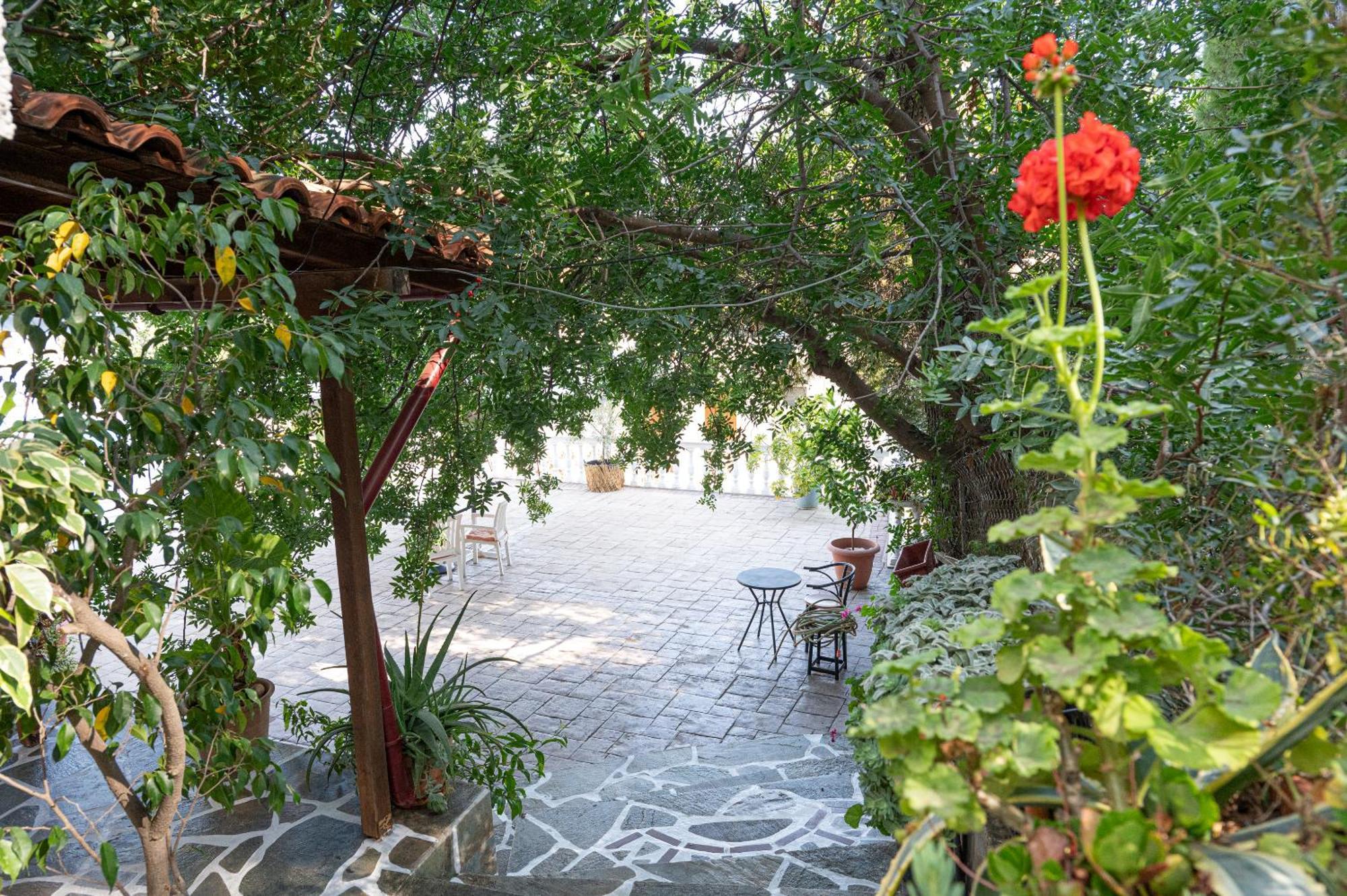Lions 2 Studios & Apartments, Poros Island. Πόρος Εξωτερικό φωτογραφία